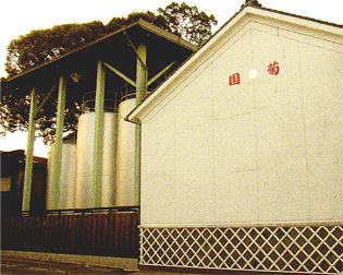 九州本場の蔵元　焼酎　篠崎